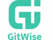 GITWISE (ООО ЦТП)