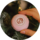 Студия маникюра и педикюра French nails